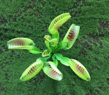 Load image into Gallery viewer, Nepenthes Carnivorous  Dionaea  Clip Venus Flytrap Artificial Fake Plant  100 Pcs
