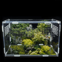 Load image into Gallery viewer, Transparent Acrylic Reptile Box for Spiders Tortoise Lizard Breeding Insect Box Vents Sliding Small Pet Terrarium Vivarium
