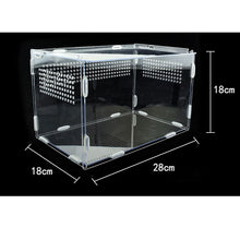 Load image into Gallery viewer, Transparent Acrylic Reptile Box for Spiders Tortoise Lizard Breeding Insect Box Vents Sliding Small Pet Terrarium Vivarium
